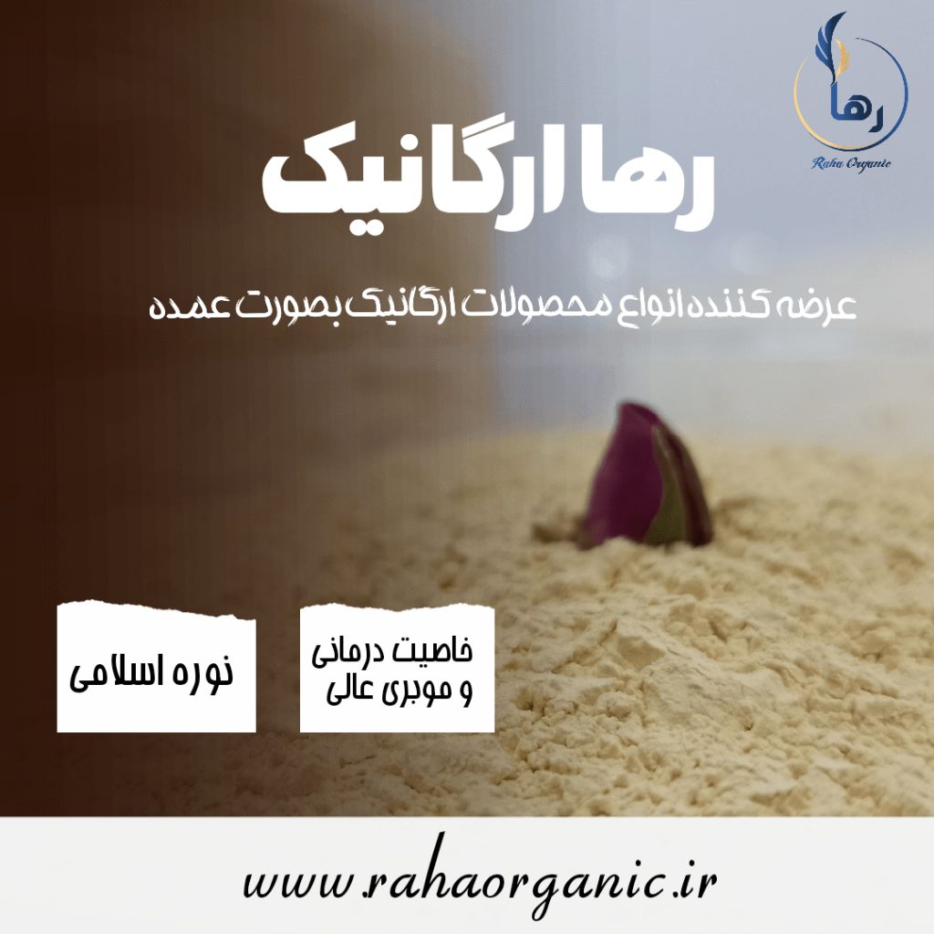 نوره فله