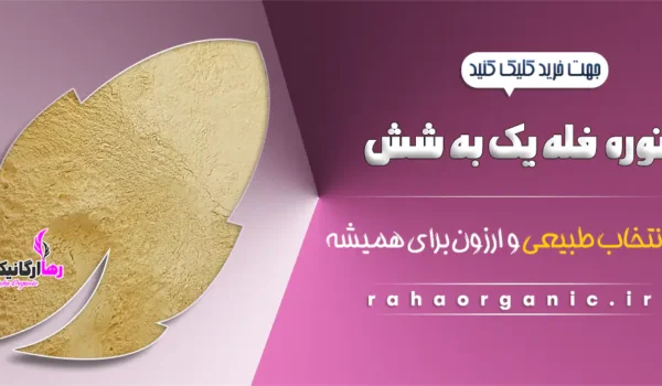 نوره فله