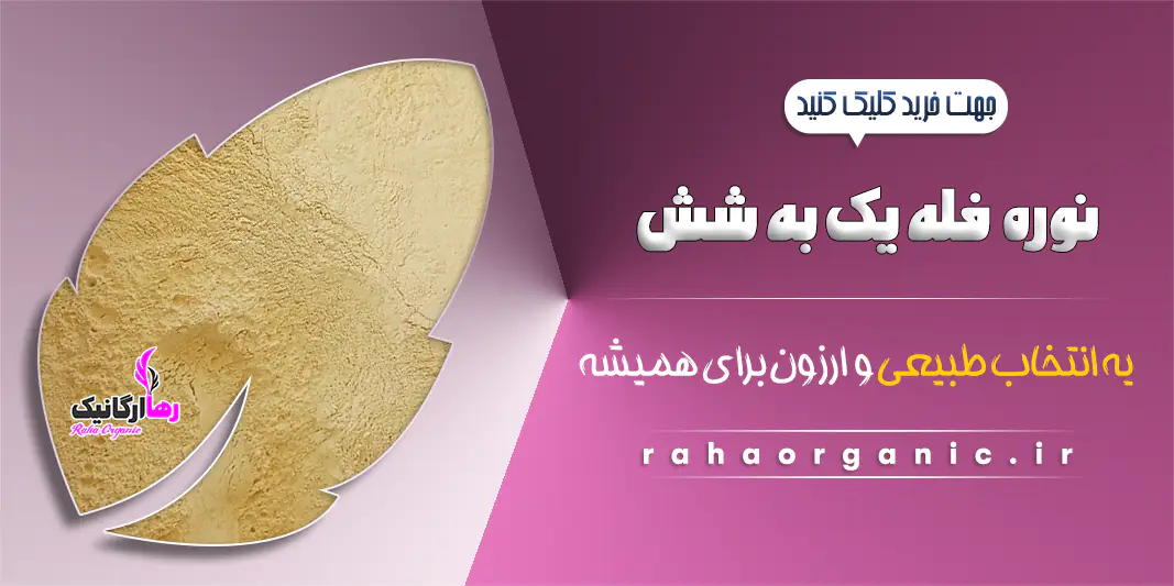 نوره فله