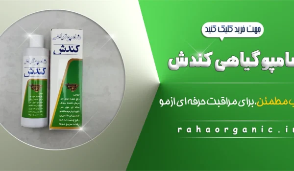 شامپو گیاهی کندش