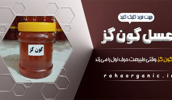 عسل گون گز