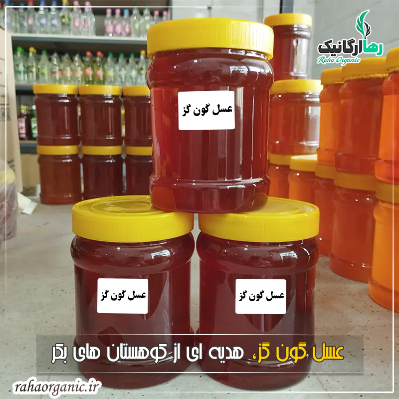 عسل گون گز