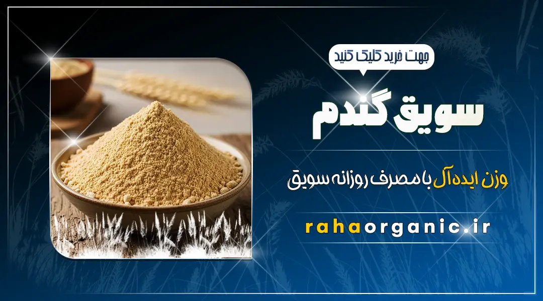 سویق گندم