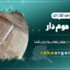 عسل موم‌ دار